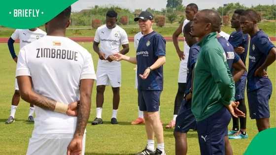 Coach slaps player in mid-match drama as Zimbabwe fans react online