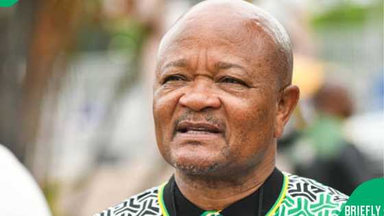 Suspended police minister Senzo Mchunu signals return to ANC duties