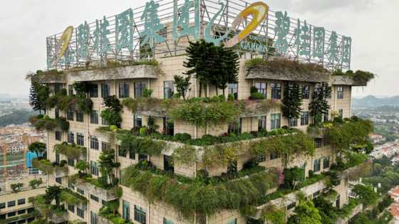 China's Country Garden says might not meet all debt obligations