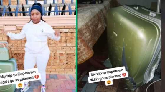 Limpopo hun's Cape Town trip goes south, Mzansi has questions as she arrives with damaged property and missing items