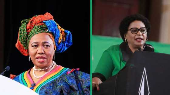 SONA 2024: ANC members who left netizens in stitches on Twitter