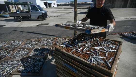 US to work with Taiwan, Vietnam against illegal fishing