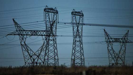 Embattled Eskom reduces gross debt despite a loss of R18.9 billion