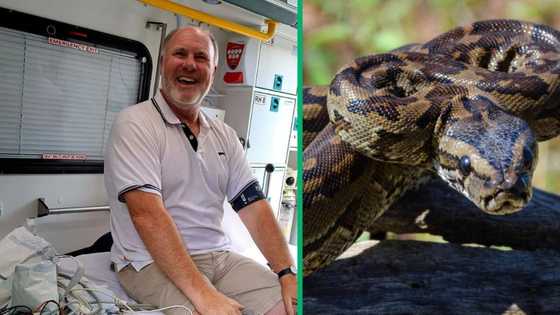 Man fights 13-foot python which tries to bite and squeeze him, Netizens thankful he escaped