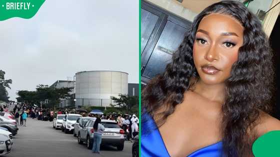 "People have been in line from 4am": Woman shows massive queue for free Standard Beauty products