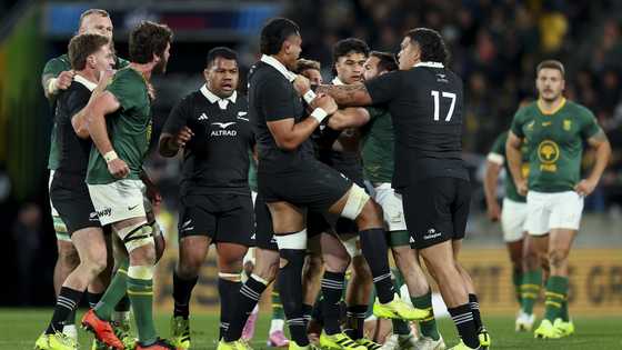 Springboks star rejects claims he and teammate were targeted by All Blacks at Ellis Park