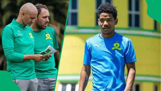 Cardoso hails Sundowns' new signing over instant impact