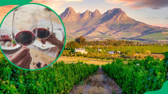 11 highly-recommended restaurants in Franschhoek: Hidden gems and classics