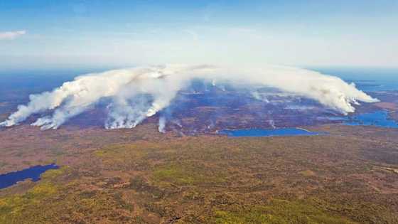 Canada wildfires spark 'ecoterrorist' conspiracy theory