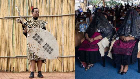 Queen Mantfombi's 1st born son may succeed King Goodwill Zwelithini