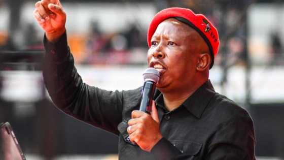 Julius Malema to assist 2021 July Unrest convict, South Africans debate his intentions