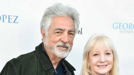 Arlene Vrhel's biography and facts: Who is Joe Mantegna's wife?