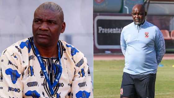 South Africans want Pitso Mosimane back at Bafana Bafana after Sudan defeat