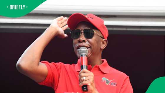 EFF claims Cyril Ramaphosa and Donald Trump's meeting was used to attack Julius Malema, SA amused