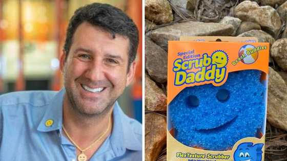 Scrub Daddy's net worth: How much sales does the company make annually?