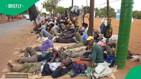 Bus shortages delay thousands of foreign nationals being processed at Musina repatriation centre