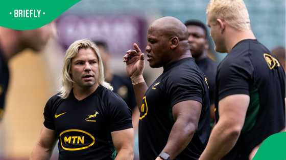 Springboks star returns to South Africa after four years abroad
