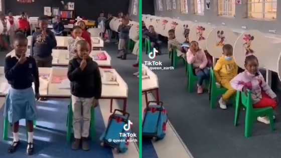 Grade 1 learners impress SA with remarkable comprehension of Afrikaans in TikTok video