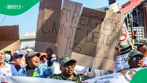 Survey reveals that unemployed South Africans' distrust of immigrants could lead to instability