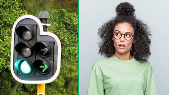 Thieves found stealing traffic light forced to put it back in viral video