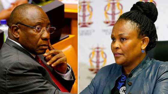 Public Protector Busisiwe Mkhwebane launches probe into Ramaphosa farm theft for alleged breach of Ethics Code