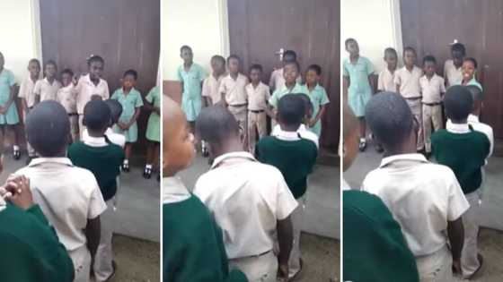 Grade 4 primary school children recite heart-warming poem about teachers, video goes viral: Mzansi stans