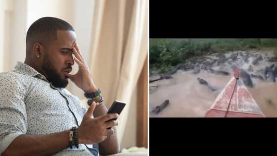 Video of boat passing through crocodile-infested river goes Twitter viral with 10.7 million views