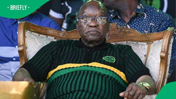 Jacob Zuma claims Fikile Mbalula intimidated his representative, SA says he must focus on MK Party