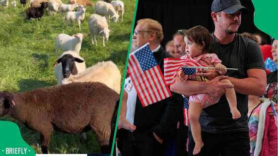 South Africans abroad praise refugee for bringing farming roots to the US