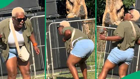 "Being human in public": SA floored by lady passionately feeling Whitney Houston's hit son in soul