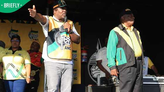 Ramaphosa peprimands Panyaza Lesufi over Ekurhuleni mayor protocol breach in viral video