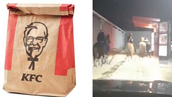 Video of men riding horses at a KFC drive-thru leaves SA laughing out loud: "Beauty of being a Mosotho"