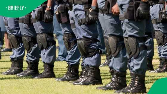 SAPS establishes 2 specialised units to fight crime in Gauteng, SA reacts