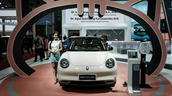 EU seeks to put brakes on China without hurting ties