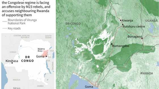 Clashes in eastern DR Congo as envoy pursues 'dialogue' initiative