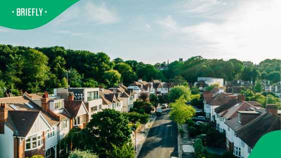 Inside the South African suburb where properties are selling for over R35 million