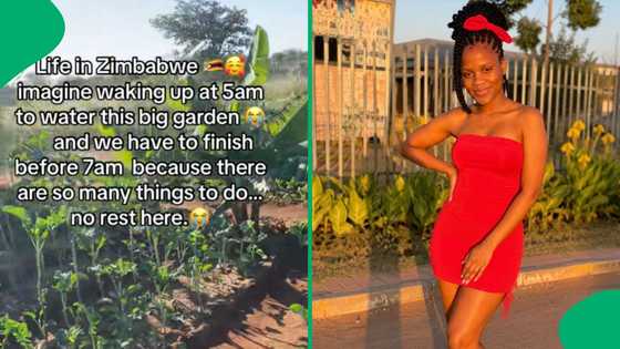 “Be strong”: Zimbabwe woman shows hard life after leaving South Africa
