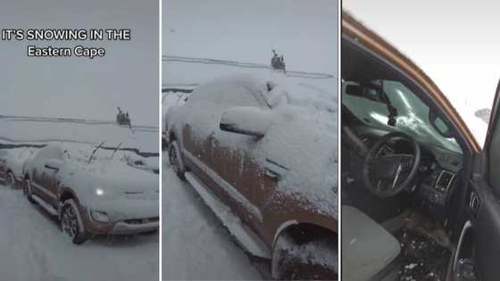 Winter wonderland video shows thick snowfall in the Eastern Cape, Saffas can’t believe it is in Mzansi