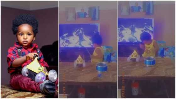 Talented boy drums like pro, learns skill from watching TV, video stirs massive reactions