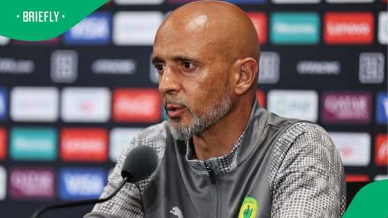 Cardoso speaks out on Sundowns' response plan after Betway Premiership slip-up