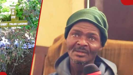 Man 'buried' after fatal road accident spotted walking among the living: “We confirmed it's him”