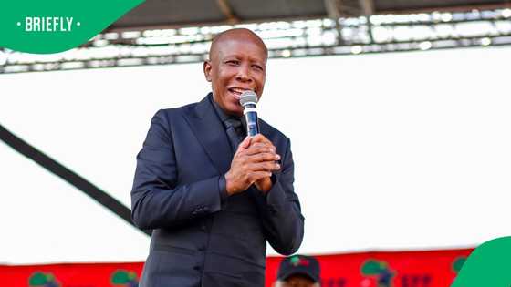 EFF president Julius Malema speaks after postponement of pre-sentencing hearing