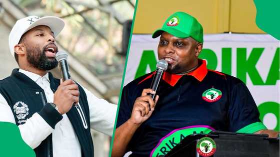 Sizwe Dhlomo shades Floyd Shivambu's gala dinner again with tough question