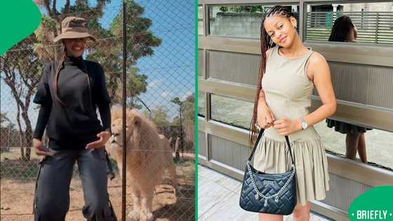"Food can dance?": A lion's facial expressions to a woman's viral dance have Mzansi in stitches