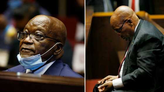 Former President Jacob Zuma loses Supreme Court of Appeal bid to remove Billy Downer from arms deal case