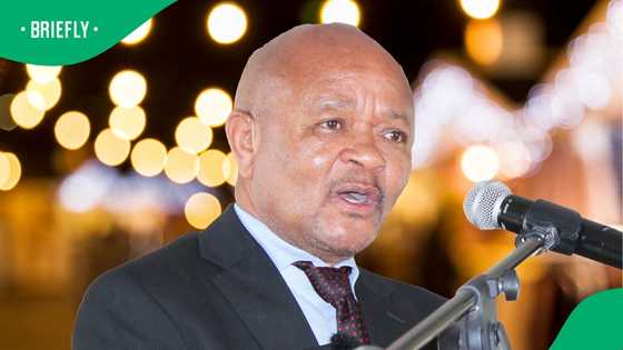 ANC veteran calls on Ramaphosa to dismiss Senzo Mchunu over alleged wrongdoing