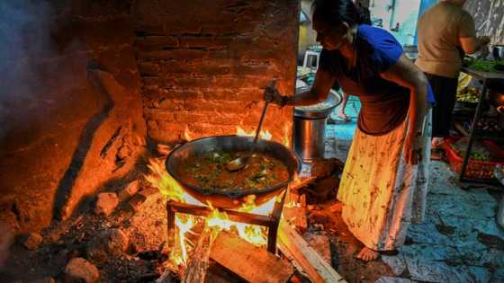 Sri Lankans return to cooking with firewood as economy burns