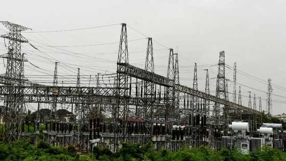 Workers' strike targets power stations in Nigeria