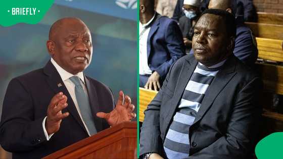 Ramaphosa reacts after Fannie Masemola reinstated as SAPS National Commissioner
