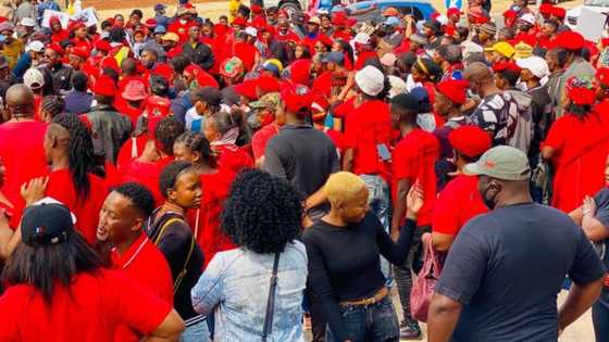 Malema's call for 'ground forces' to mobilise raises eyebrows